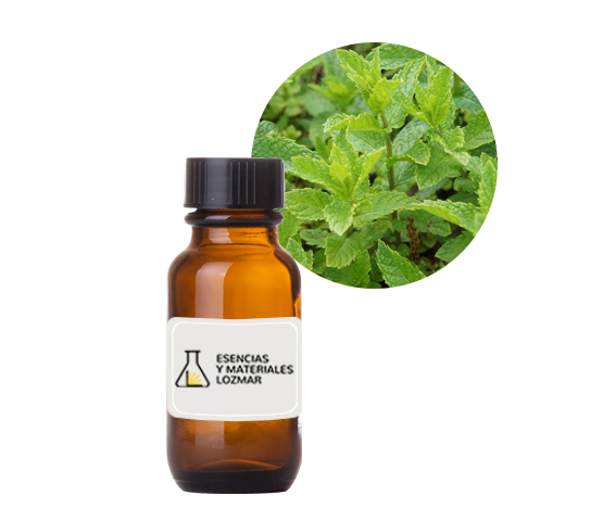 AC. ES. MENTA PIPERITA