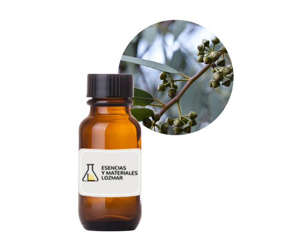 AC. ES. EUCALIPTO 80/85