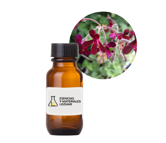 AC. ES. GERANIO AFRICA