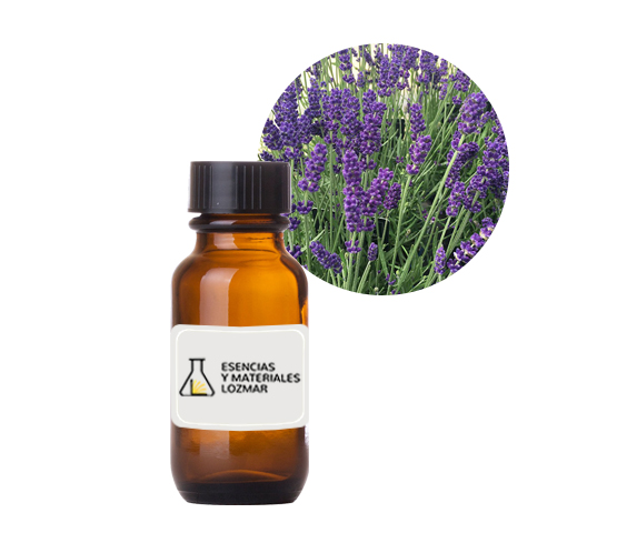 AC. ES. LAVANDA 40/42