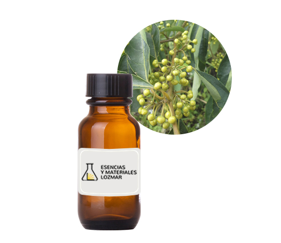 AC. ES. LITSEA CUBEBA