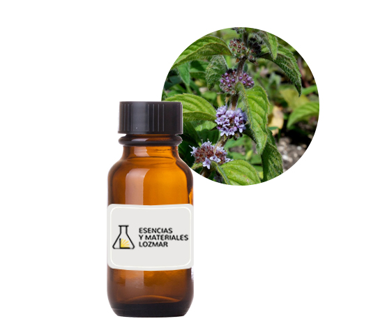 AC. ES. MENTA ARBENCIS