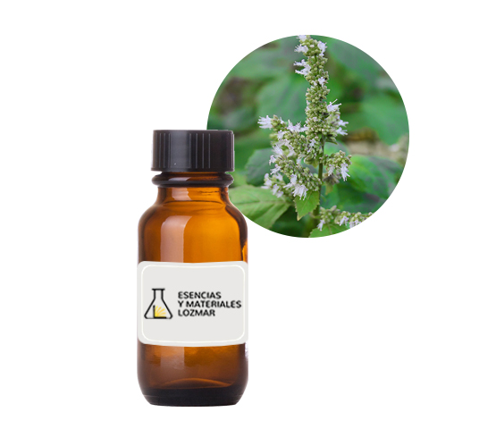 AC. ES. PATCHOULY LIGHT