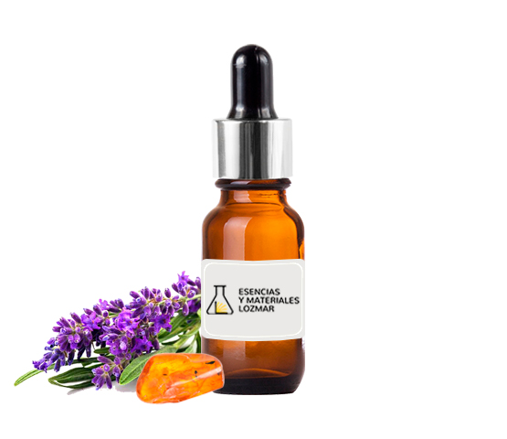 LAVANDA AMBAR