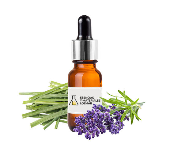 LAVANDA CITRONELA