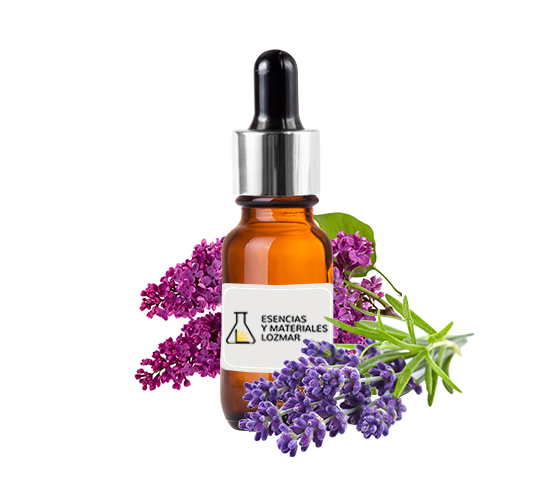 LILAS LAVANDA